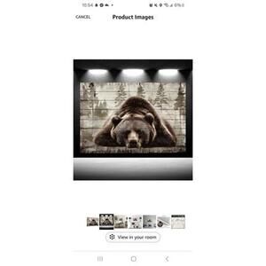 Rustic Bear Wall Art Canvas 16x24in